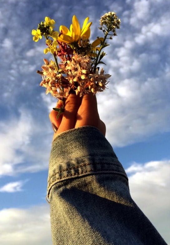 Instagram Profil Fotoğrafları : Bir Tutam Çiçek